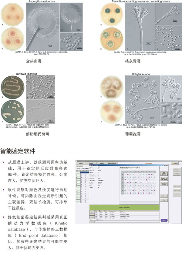 GEN III-美国 Biolog GEN III 微生物鉴定仪_生物鉴定系统-上海帝博思生物科技有限公司